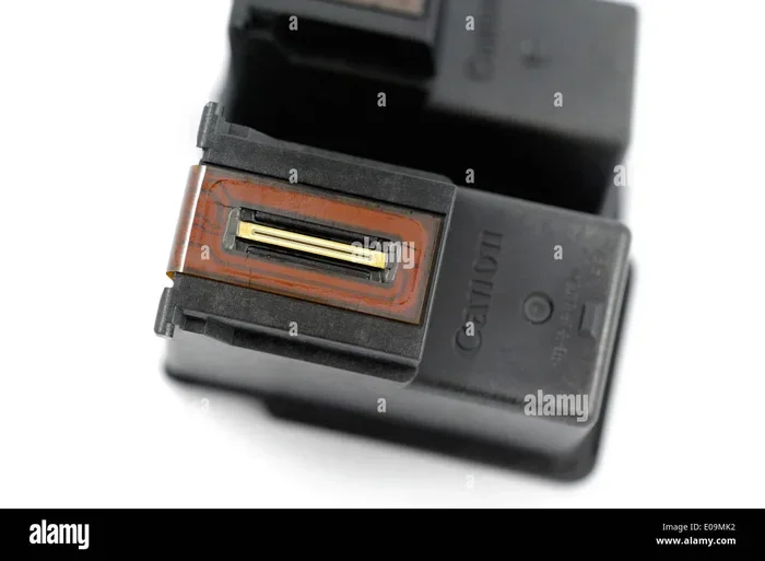 Are Canon 275 And 245 Interchangeable Ink Cartridges
