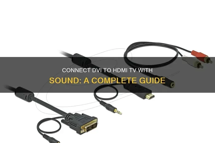 Can I Connect Dvi To Tv And Watch Anything On The Big Screen