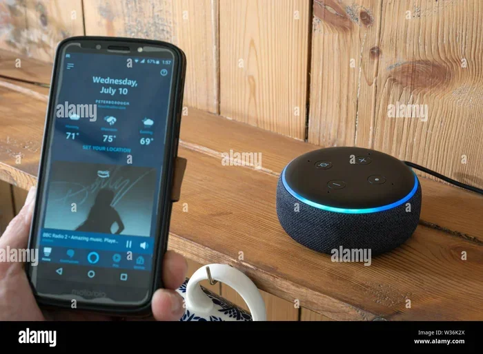 Can I Connect My Phone To Alexa And Get Started Today